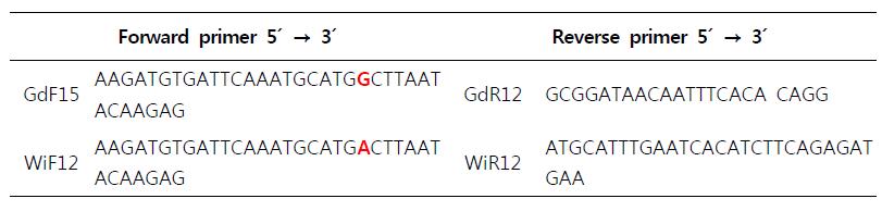 G-Ry and W-Ry Point-mutation primer.