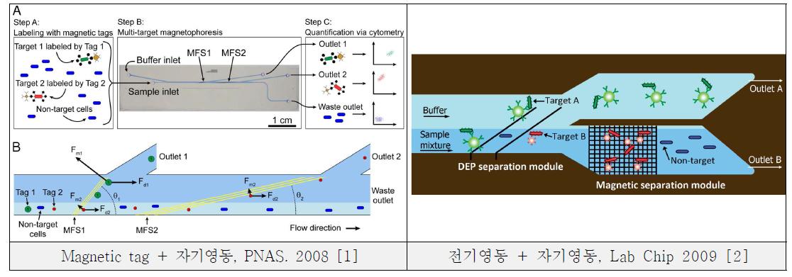 융합기술을 이용한 세포분리기술의 최근 주요연구 결과