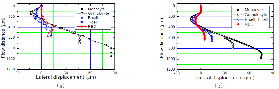 (a) 혈액세포의 측면방향변위의 측정값 (b) 이론적 계산 값