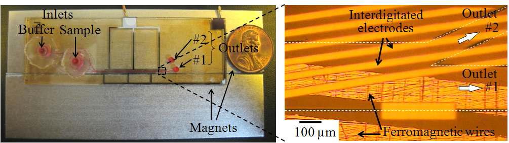 제작된 측면방향 자기-유전영동 바이오칩
