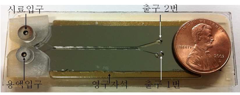 제작된 CTCs 분리기.