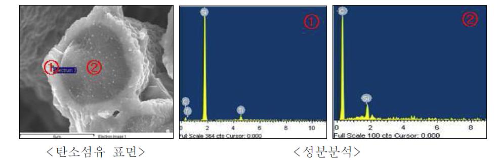 CVR 코팅된 탄소섬유와 부분별 성분분석