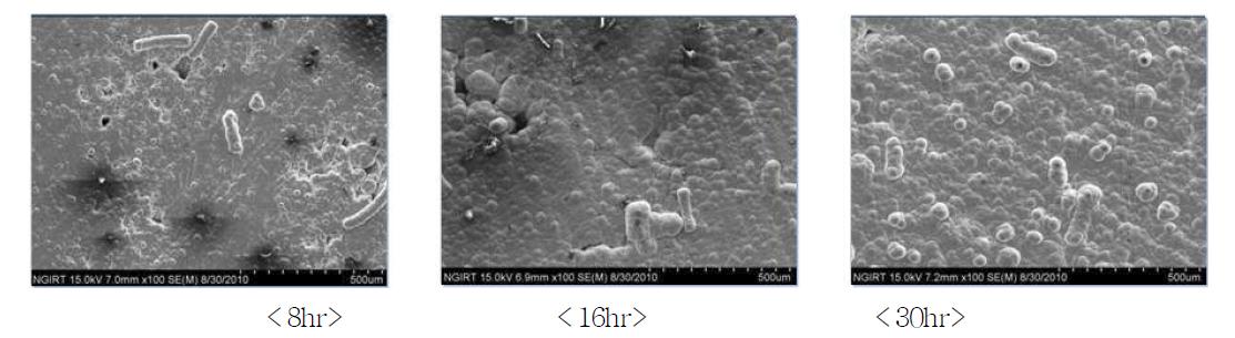 최적조건에서 코팅공정 시간에 따른 표면의 미세구조