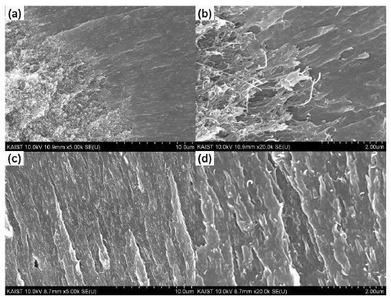 2wt% CNT/PC 나노복합체의 fracture surface SEM 사진