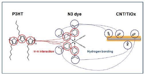 N3 dye에 의한 CNT/TiOx 나노복합체의 표면개질 개념도
