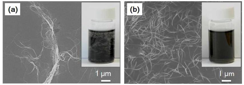 a) pristine SWNTs, b) m-PBA로 비공유 기능기화된 SWNTs의 유기 용매내 분산상태 SEM 사진 (Inset images are digital photograph images of pristine SWNTs and m-PBA-SWNTs in chloroform after dispersion several days, respectively)