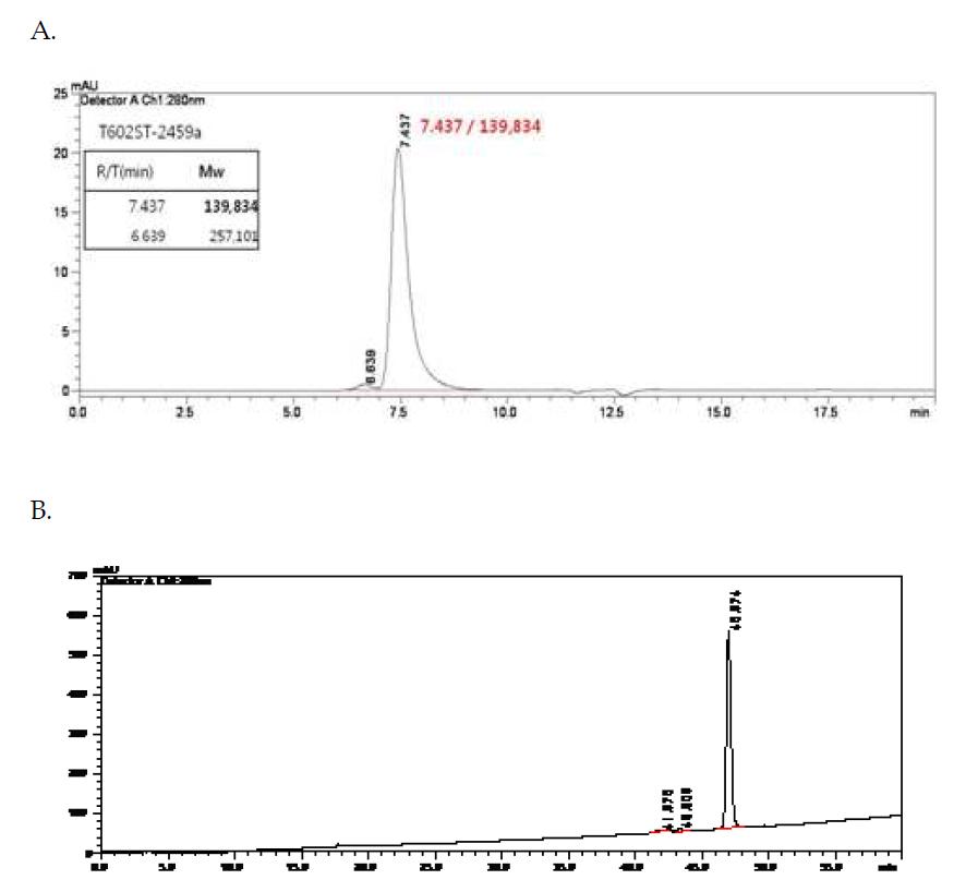 NexPTM/G-CSF의 정제 후 HPLC 분석 (A: size-exclusion HPLC, B: reverse-phase HPLC)