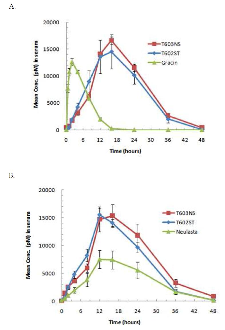 NexP™/G-CSF를 Sprague Dawley rat에 피하주사한 후 시간에 따른 농도 변화를 측정한 약물동태 시험 (A : Gracin (filgrastim)과 비교, B : Neulasta와 비교)