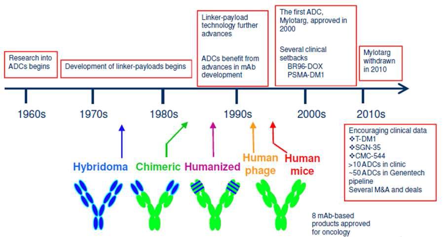 항체-약물 접합체(ADC)의 개발 history