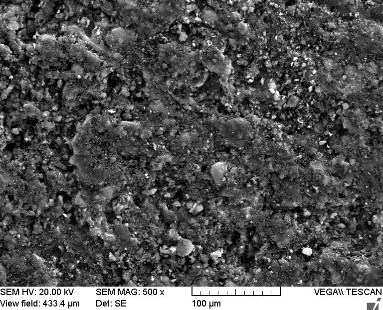SEM image of the DRMW after DME conversion for long time