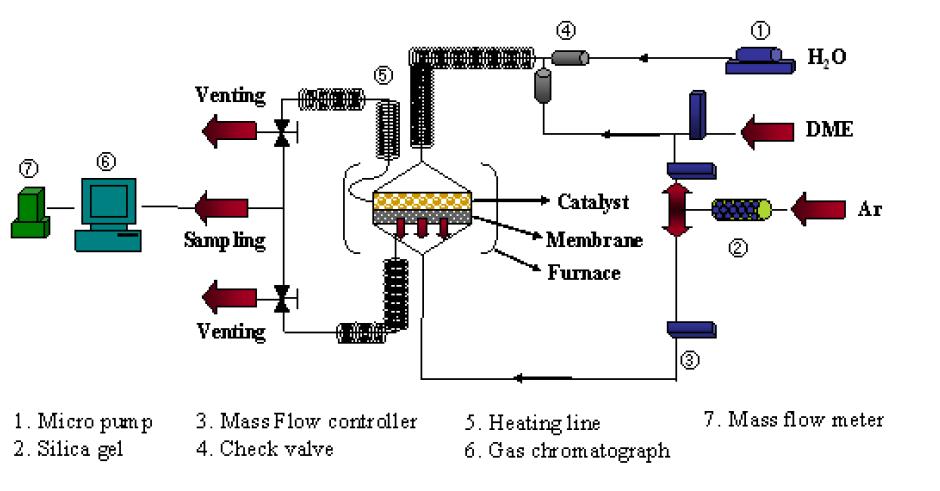 Schematic diagram of the DME steam reforming membrane reactor test apparatus.