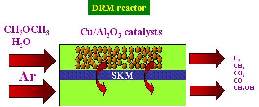 b). Schematic illustration of DRM reactor.