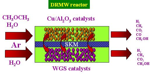 c). Schematic illustration of DRMW reactor.