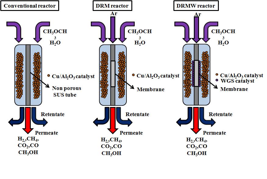 Schematic illustration of membrane reactor.
