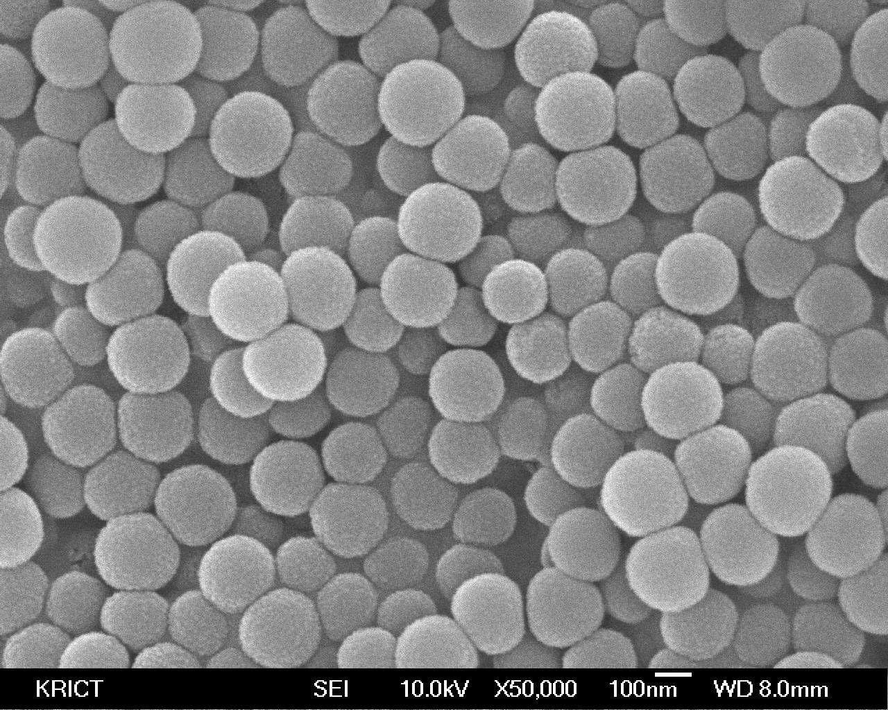 SEM images of the colloidal silica xerogels