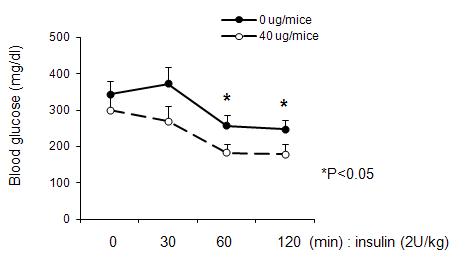 DW1182v의 db/db 마우스에서의 인슐린 감수성 회복 효과