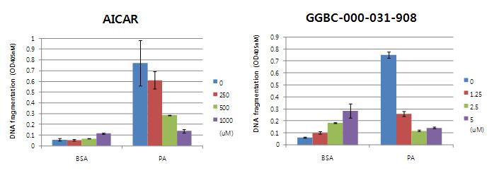 INS1 세포에서 DNA fragmentation assay로 본 대조화합물 AICAR (좌)와GGBC-000-031-908(우) 의 사멸 억제 효과