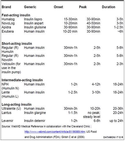 인슐린 치료제의 종류 및 유형