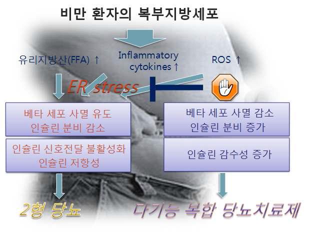 당뇨치료제 개발 사업의 논리 근거