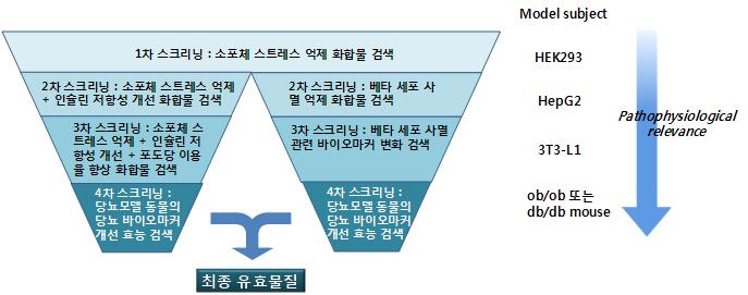 약효검색계 개발 개요