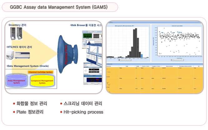 경기바이오센터의 화합물정보 시스템 (GAMS)