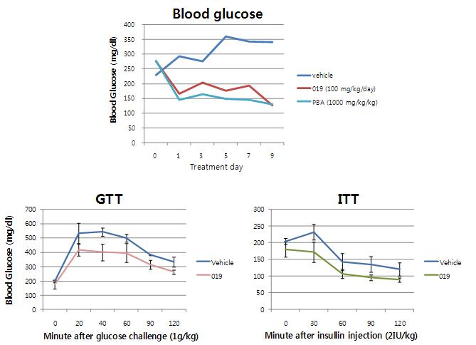 GGBC-100-000-019의 ob/ob 마우스에서 혈당강하 효과 (상), 포도당부하 억제 효과 (하좌), 인슐린 감수성 증가 효과 (하우).
