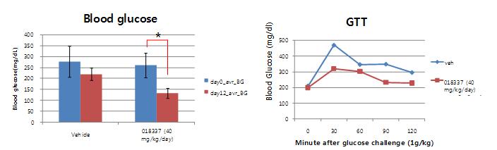 GGBC-000-018-337의 ob/ob 마우스에서 혈당강하 효과 (좌), 포도당부하 억제 효과 (우).