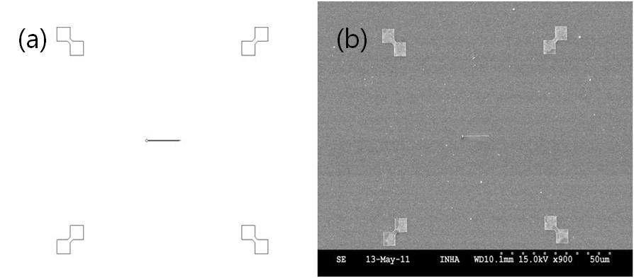 (a) 선폭 100 nm 나노선의 설계 이미지와 (b) SEM 이미지