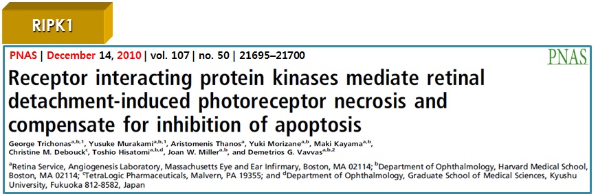 그림 90. 안질환에서의 RIPK1의 중요성