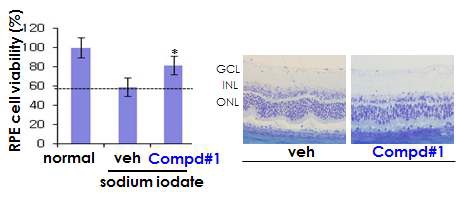 그림 92. 황반변성 동물모델에서의 Compd#1의 시신경세포죽음 보호효과