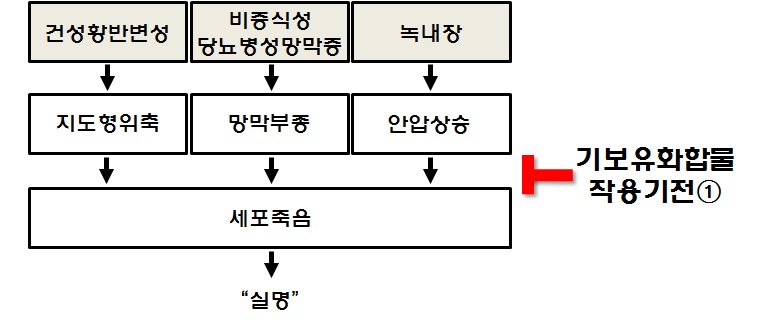 그림 26. 시신경세포보호를 통한 실명치료제 개발전략