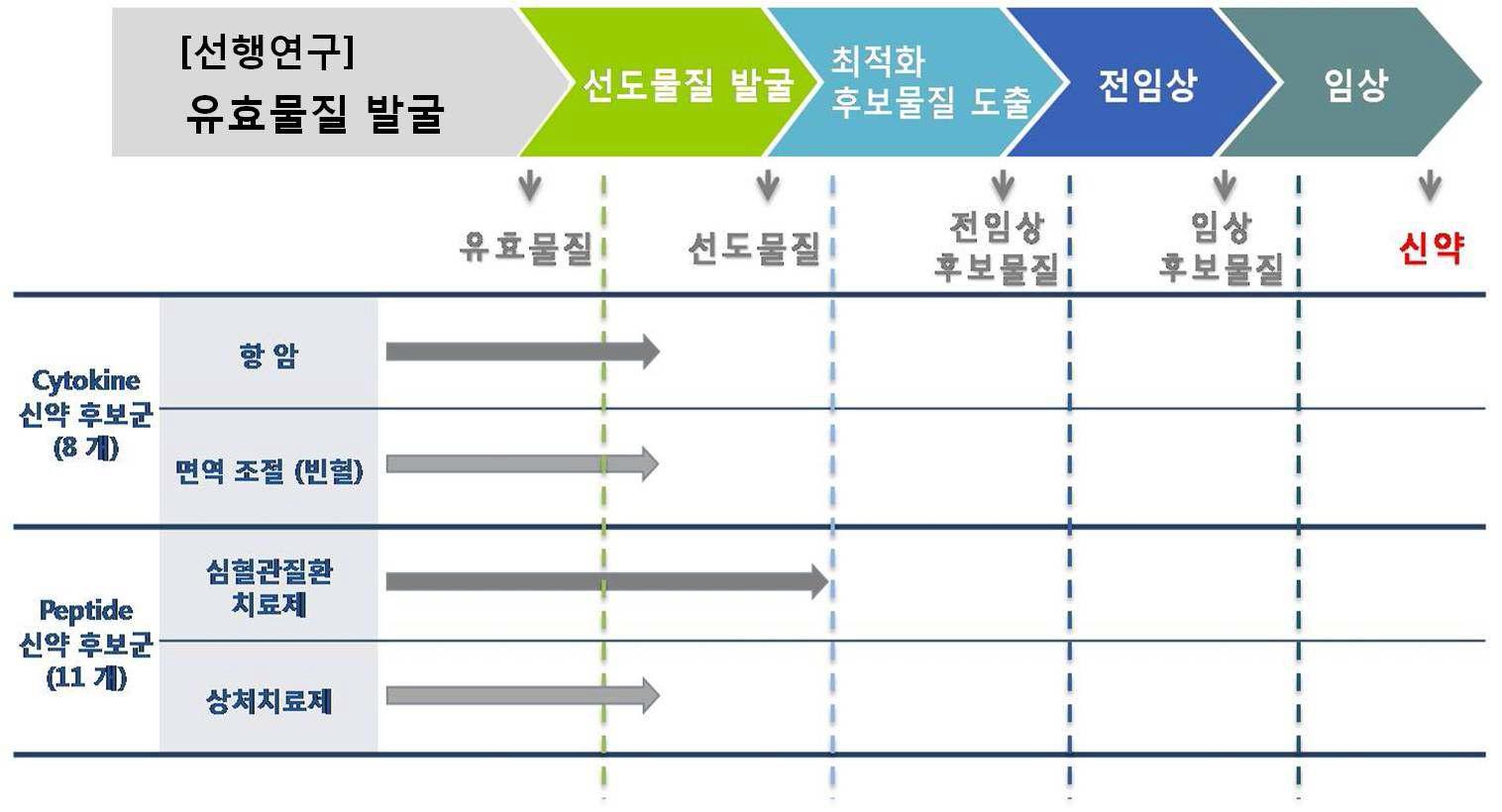 SIS-1 유래 사이토카인 및 펩타이드의 신약 개발 가능성 및 현 개발 단계