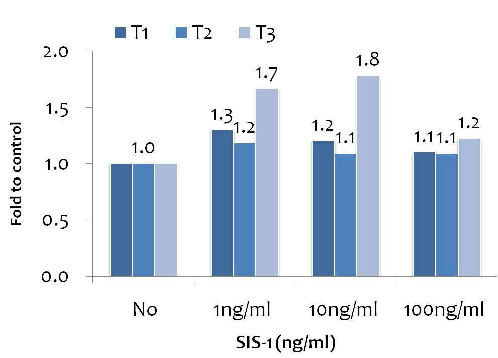 SIS-1의 처리에 따른 자연살해세포의 증식 유도