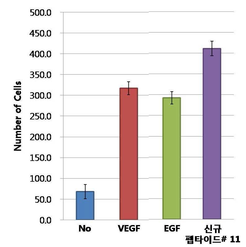 SIS-1 유래 신규 펩타이드의 인간섬유아세포 (HDF) 증식 촉진