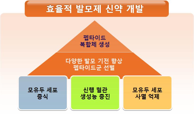 효과적인 발모제 개발을 위한 전략