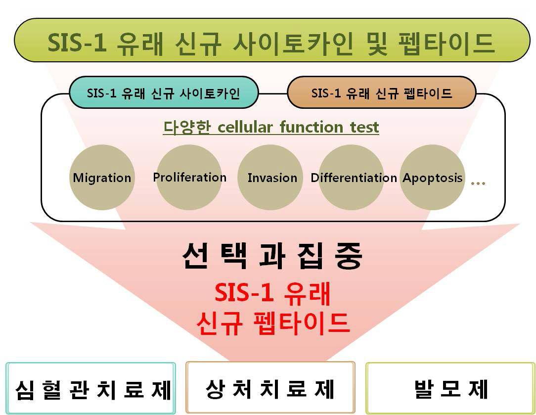 연구 추진 전략