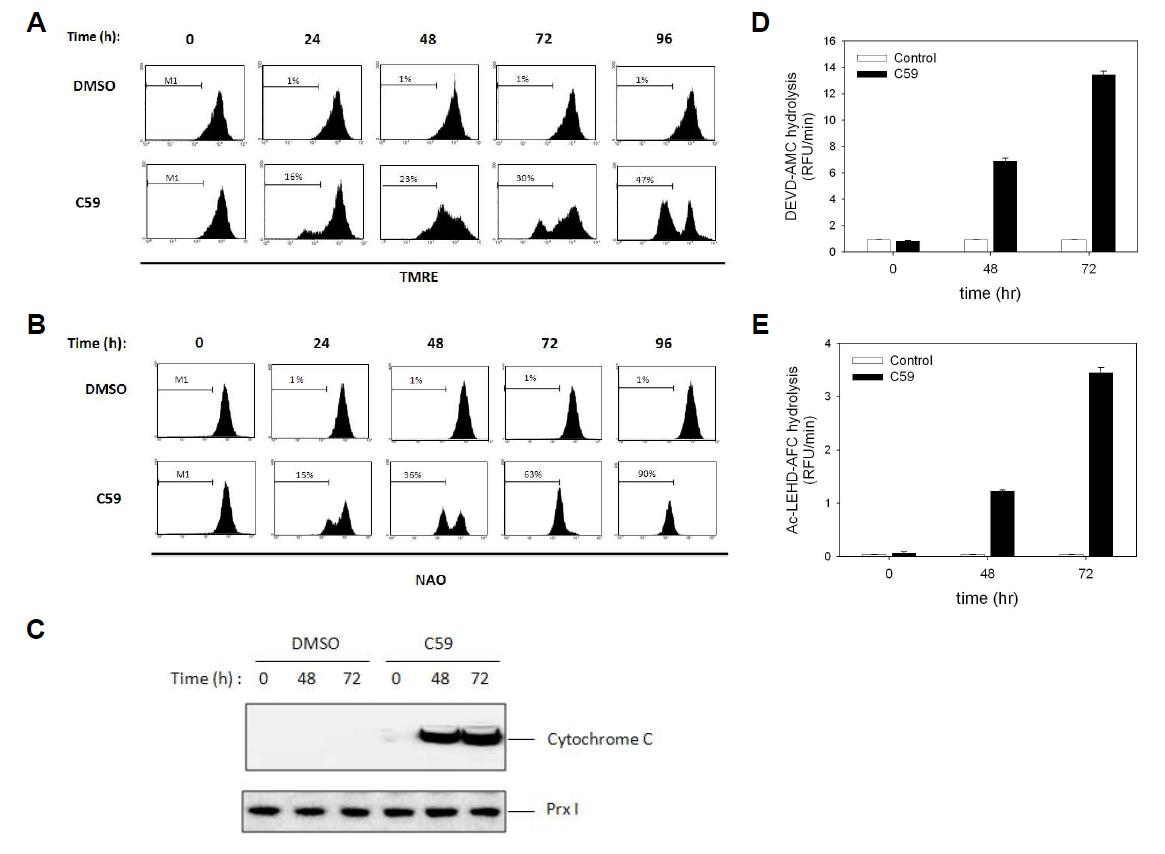 Effects of C59 on mitochondria-mediated apoptotic signaling. After Incubation of 10 μM C59 for indicated times in A549 cells, Cell lysates were prepared to measure alteration of ΔΨm and cardiolipin oxidation. A, Comparison of oxidative damage to cardiolipin by 10 μM C59 in A549 cells measured by flow cytometry using NAO. M1 indicates subpopulation of cells that lost NAO signal due to cardiolipin oxidation. B, Preferential induction of mitochondrial transmembrane potential loss by 10 μM C59 in A549 cells detected by flow cytometry using TMRE. M1 indicates subpopulation of cells that lost transmembrane potential. C, Cytochrome C release from mitochondria was analyzed by immunoblot analysis using antibody to Cytochrome C with the cytosolic fraction seperated from A549 cell lysates. Loading control of each cytosolic fraction was used to PrxI. Caspase-3 (D) and Caspase-9 (E) activity in cell lysates were measured the rate of fluorescent light according to degradation of the synthetic substrate DEVD-AMC or LEHD-AFC.