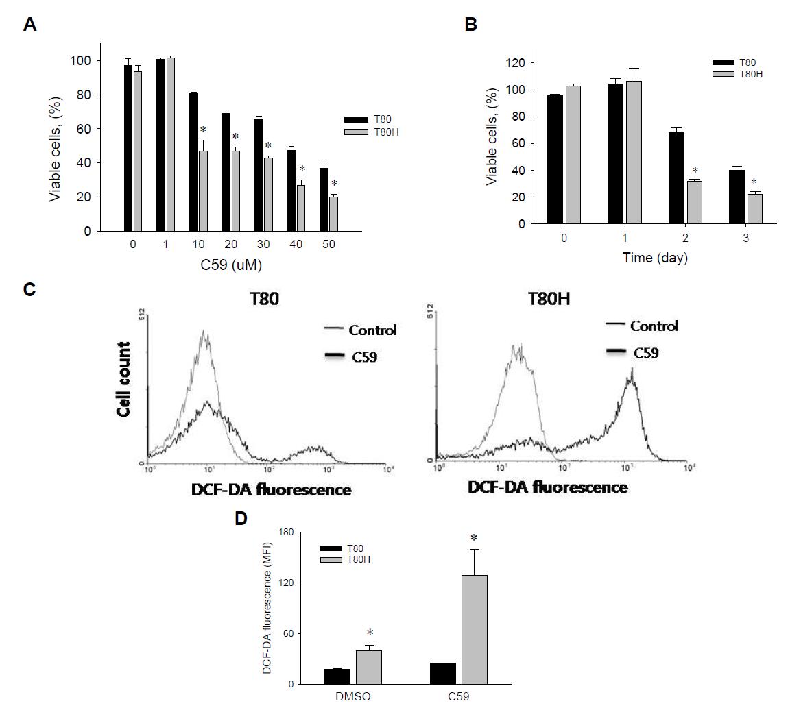 Preferential induction of cell death and ROS accumulation by C59 in oncogenetically transformed cells. (A) Dese-dependent cell death induced by C59 in T80 and T80H cells. Cells were treated with the indicated concentration of C59 for 72 hr and viable cells were measured by WST -1 assay. (B) Time-dependent cell death induced by C59 in T80 and T80H cells. Cells were treated with C59 (50 uM) for indicated times and viable cells were measured by WST -1 assay. (C) At the 96 h after treatment of C59 (50 uM), cellular ROS level in T80 or T80H cells was analyzed by flow cytometry using DCF-DA staining. (D) Comparison of ROS in T80 cells and T80H cells induced by C59 (50 uM). Each data is expressed as the mean ± SEM of triplicates. Key: *, P<0.05, as compared with the T80 group.