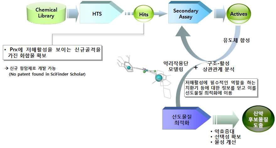 Prx 활성 저해제 선도물질 도출 전략