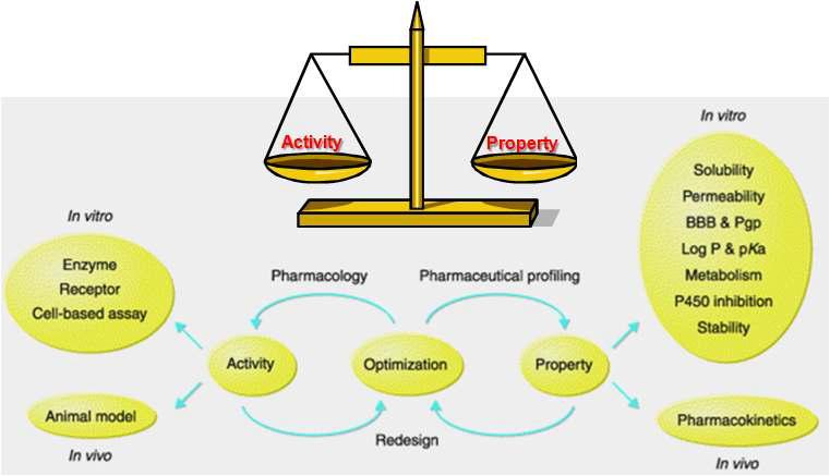 신약개발을 위한 활성과 drug-like property의 상관관계