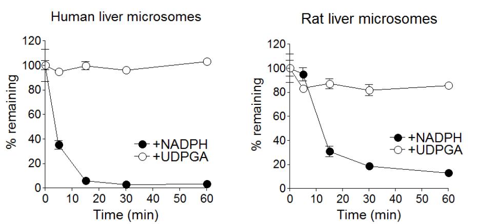 C59가 liver microsome을 이용한 대사안정성 실험에서 모두 빠르게 대사