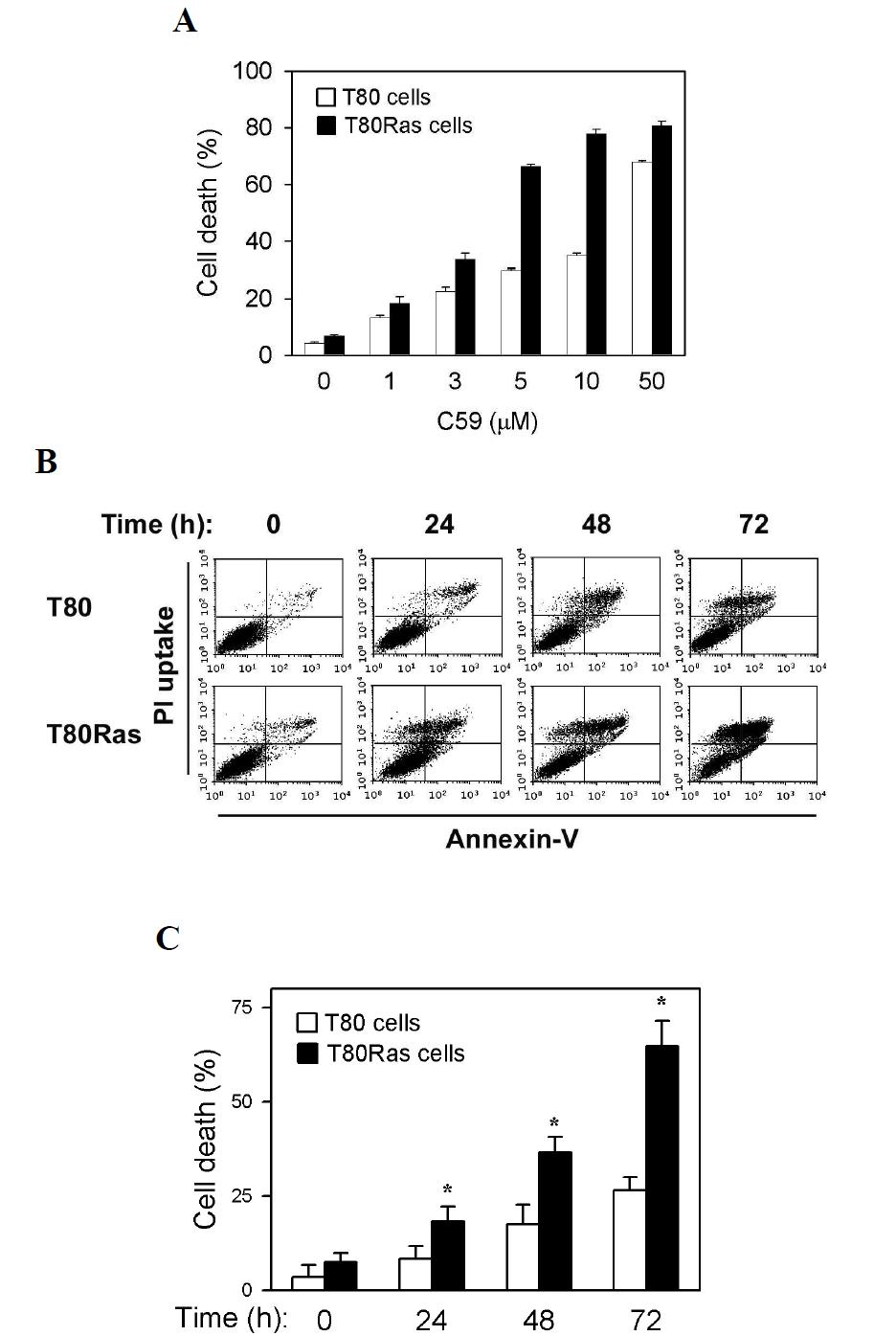 C59에 의한 세포사멸이 암세포인 T80Ras 세포에서 민감하게 증가되는 효과
