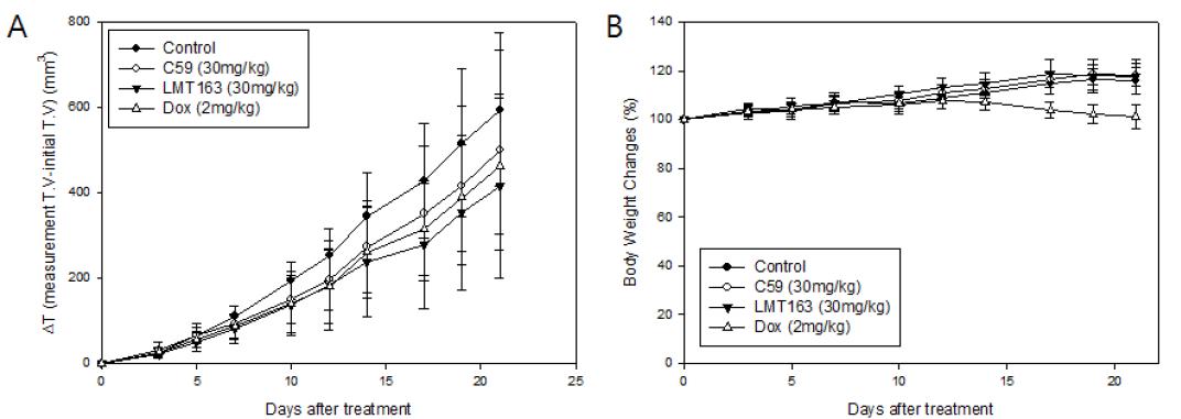 동물모델에서의 C59 와 LMT163 항암 활성 효능(A) 및 실험동물의 체중 변화(B)