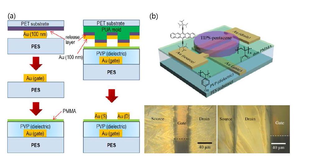 Transfer print 기법으로 gate 및 S/D을 형성한 TFT의 공정도(a)와 구조(b)