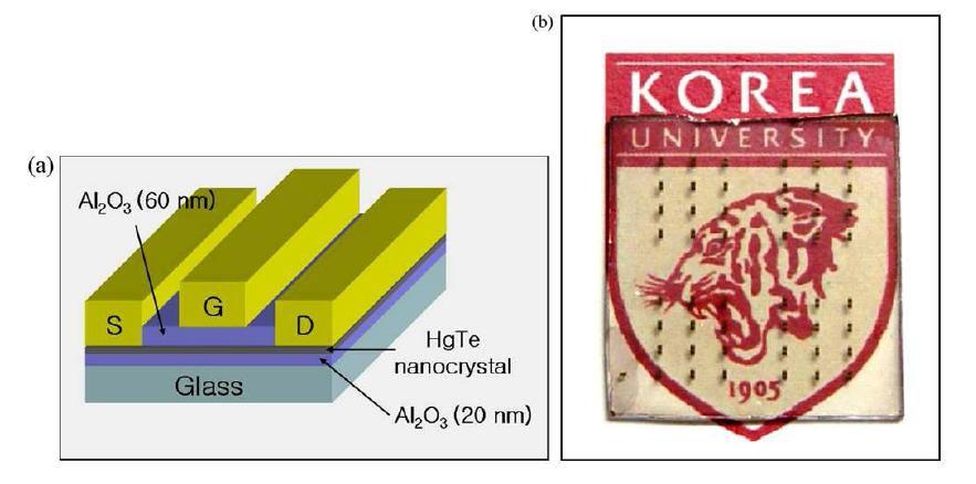 스핀코팅으로 HgTe 나노 크리스탈 층을 형성한 TFT의 구조(a)와 디지털 이미지(b)