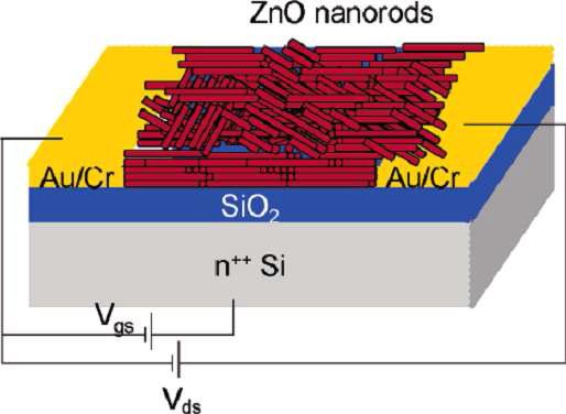 ZnO nano-rod의 선택적 증착을 이용하여 제작된 TFT 소자 모식도