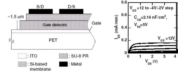 Si와 SiGe membrane을 이용한 flexible TFT 소자 모식도