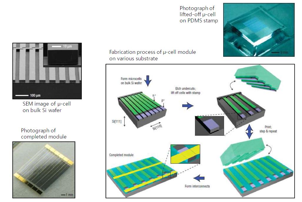 유연 PET 기판에 적용된 단결정 Si 마이크로셀 어레이 제작 과정