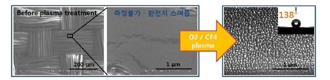 플라즈마 처리 전 실크와 플라즈마 처리 후 나노급 돌기가 형성된 실크의 SEM 이미지