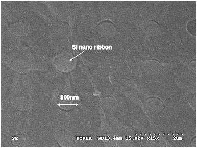 나노 임프린트 리소그래피 기술을 이용하여 제작되고 전사된 Si nano ribbon의 SEM 사진